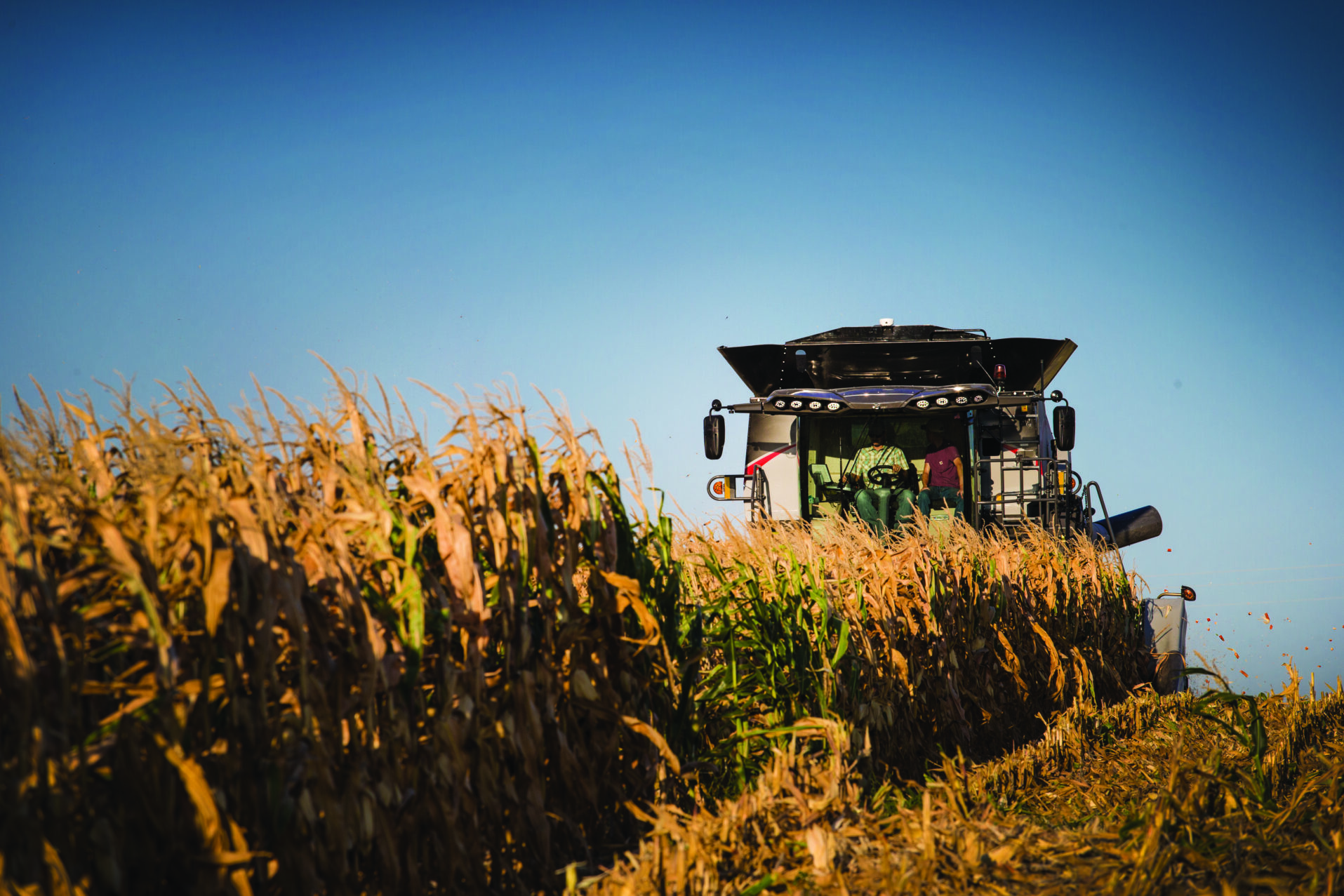 gleaner in corn field