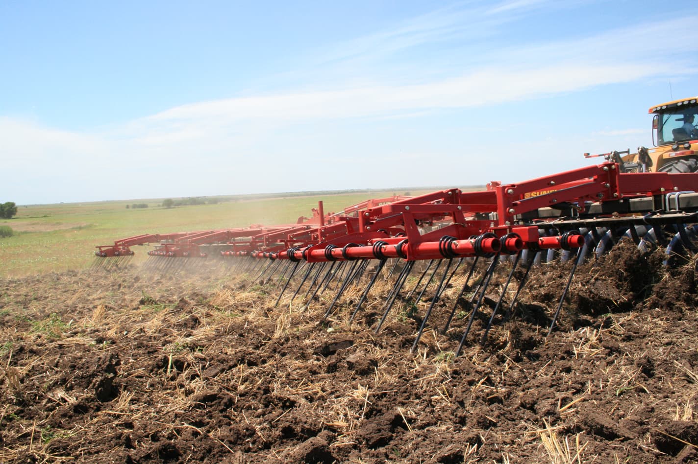 Sunflower Tillage