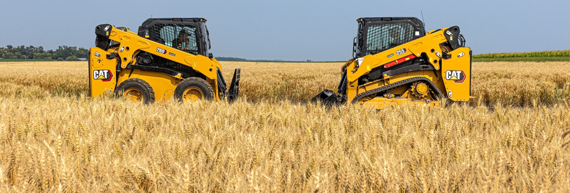 Cat Skid Steer and Cat Compact Track Loader in a golden field of wheat.