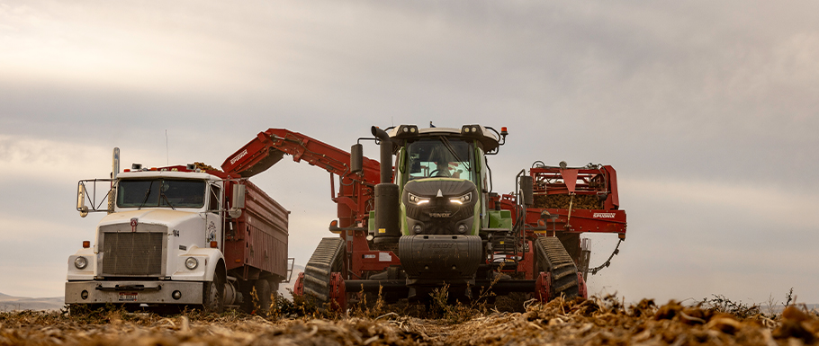 Fendt Tractor During Potato Harvest